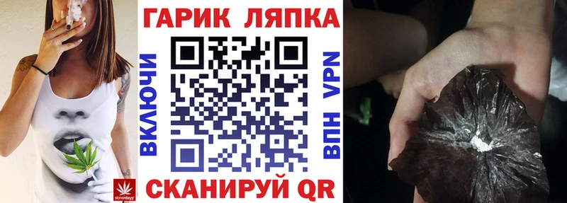 ГАШ Изолятор  Электросталь 