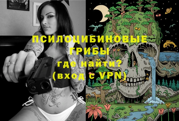 молекула духа Нефтекумск