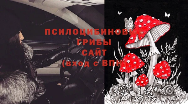 гидропоника Нея