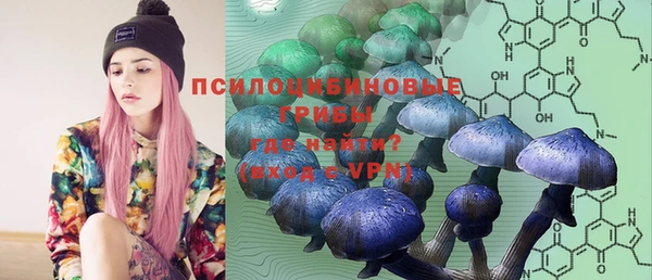 гидропоника Нея