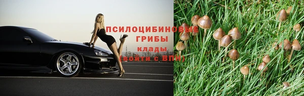 тгк Нефтегорск