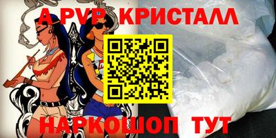кокс Донской