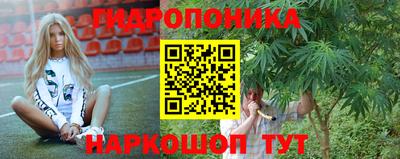 кокс Донской