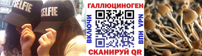 Псилоцибиновые грибы Psilocybine cubensis  Электросталь 