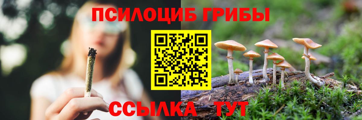 Галлюциногенные грибы GOLDEN TEACHER Электросталь