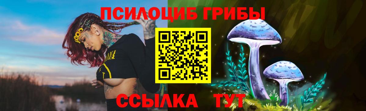 Галлюциногенные грибы MAGIC MUSHROOMS  Вход с VPN  Псилоцибиновые грибы мухоморы  Электросталь 